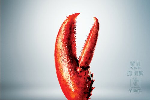 Câncer de Próstata — Garras — peça 2